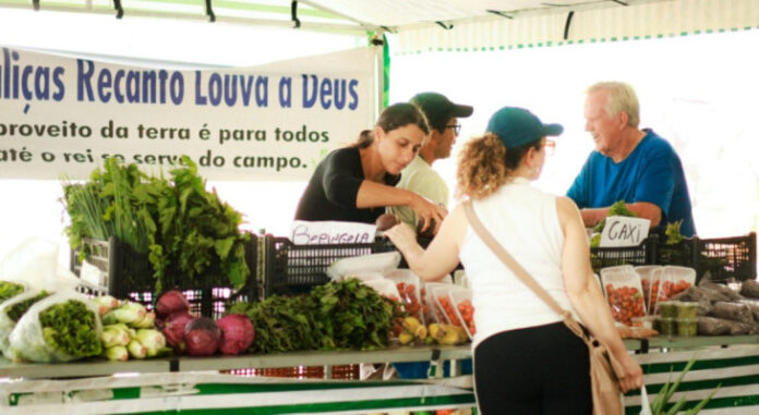 Prefeitura de Cascavel abre vagas para novos feirantes; veja como se inscrever - Gazeta do Paraná