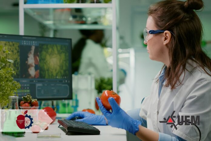 UEM abre inscrições para evento de Engenharia de Alimentos em agosto