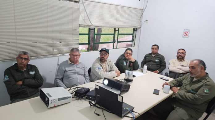 Foz prepara segunda etapa do método Wolbachia contra dengue