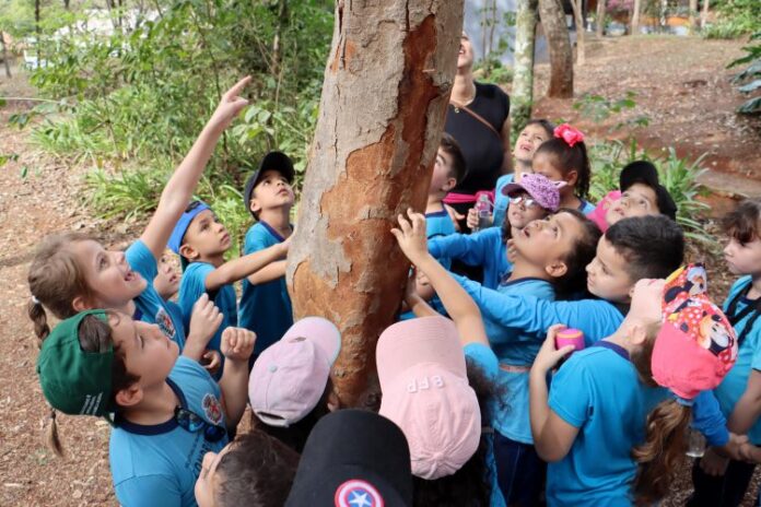 Londrina planta árvores em 42 escolas municipais a partir de agosto