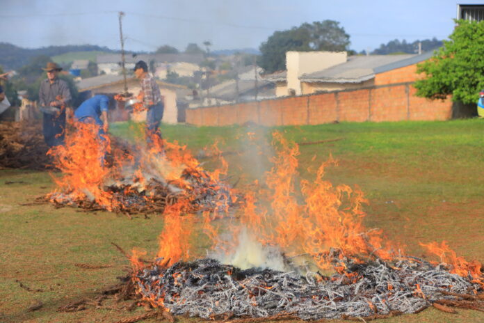 11ª Sapecada do Pinhão reúne moradores e grupo da Melhor Idade no CEU das Artes