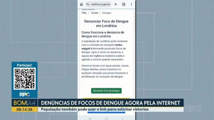 Londrina abre canal online para denunciar criadouros de mosquito da dengue