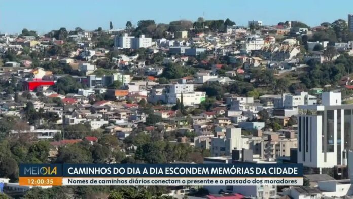 Pesquisa mapeia vida de mais de 800 pessoas em Pato Branco