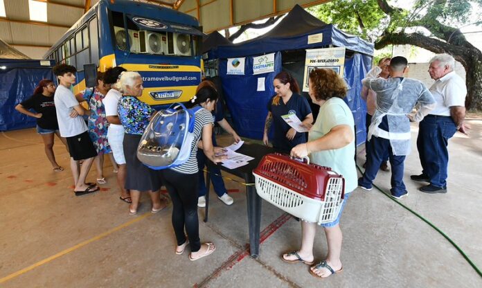CastraPet abre 245 vagas para castração de cães e gatos em Umuarama
