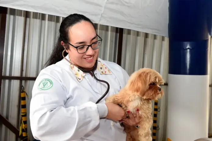 Vet-Móvel Paraná vacina cães e gatos gratuitamente no litoral a partir de sexta