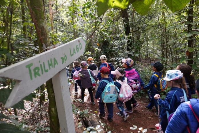 Parque Arthur Thomas leva 3 mil estudantes para trilha na mata atlântica