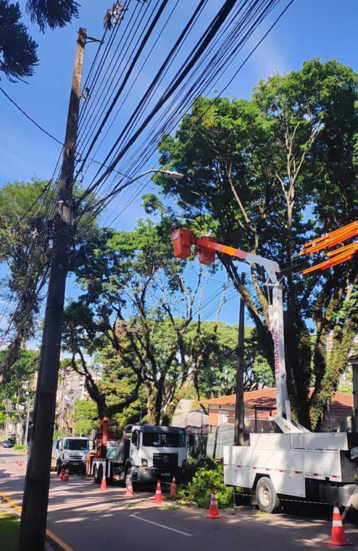 Copel faz poda de árvores em 4 bairros de Curitiba; veja as ruas afetadas