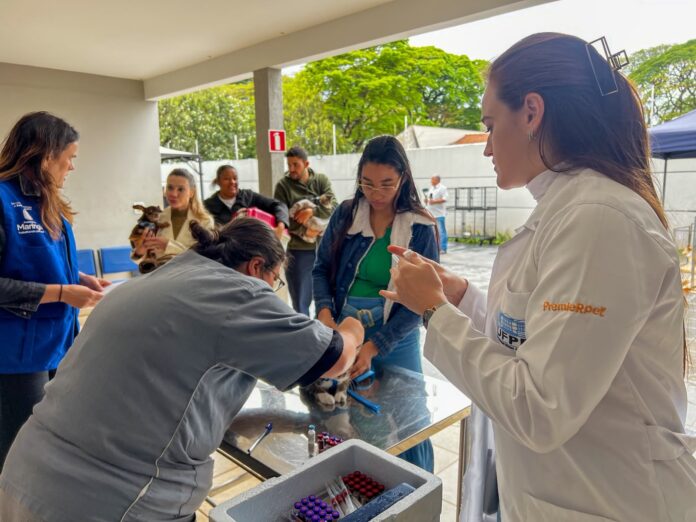 Prefeitura vacina 247 animais em ação de proteção e realiza seis adoções em Maringá