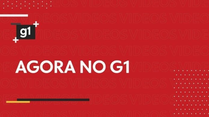 Feira reúne 170 empreendedores e oficinas grátis em Curitiba