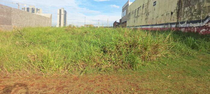Notificações por terreno sujo crescem 50% e geram R$ 3,7 mil em multas