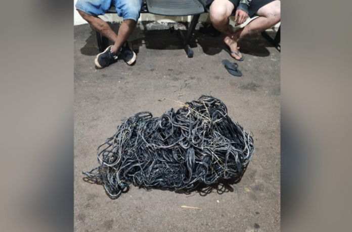 Dois homens são presos com 15 kg de fios de energia furtados em Francisco Beltrão