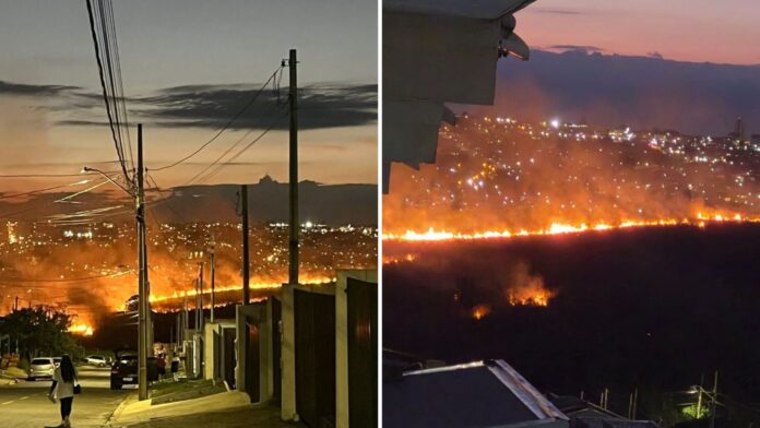 Incêndio atinge vegetação em Ponta Grossa; Bombeiros controlam chamas