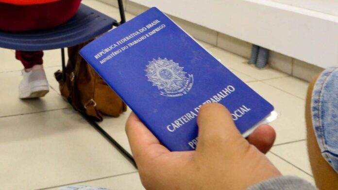250 vagas de emprego para migrantes em Curitiba; confira os setores