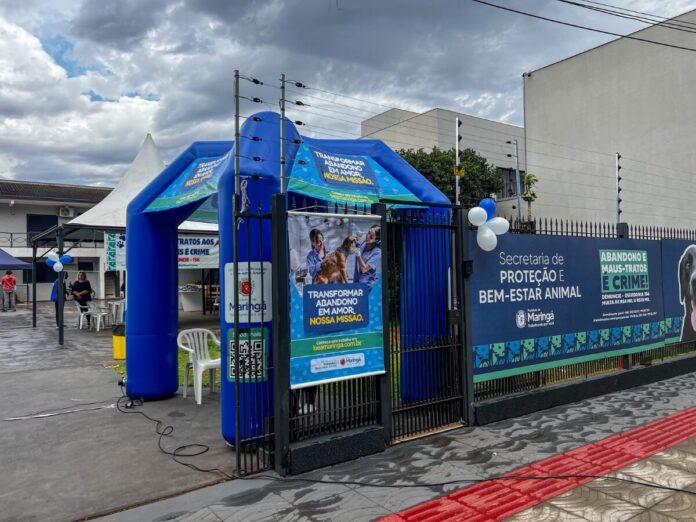 247 cães e gatos vacinados em ação gratuita de Maringá; confira os serviços