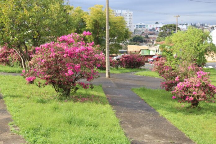 Sexta e sábado têm sol em Ponta Grossa; chuva chega no domingo