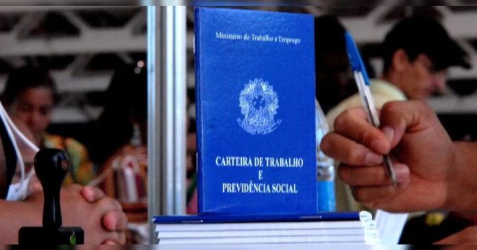 613 vagas de trabalho abrem em Apucarana nesta quarta