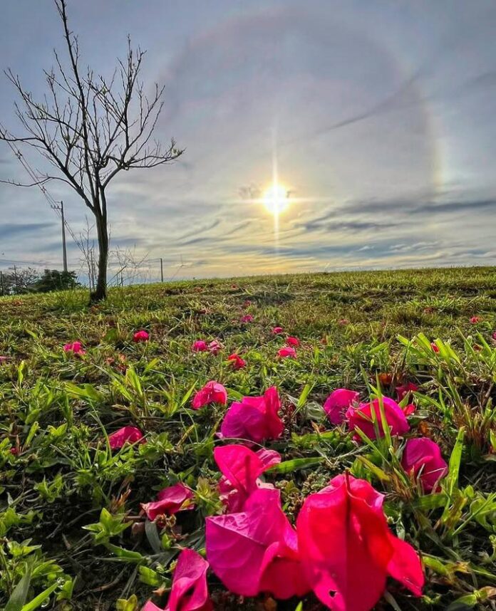 Sol entre nuvens marca início da semana em Cascavel