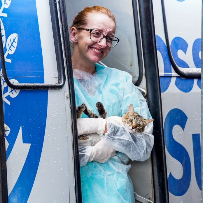 Prefeitura castra 171 cães e gatos no Maracanã em dois dias