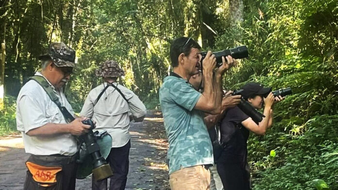 Trilha de observação de aves no Parque Lago Jaboti neste domingo