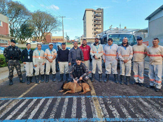 Energisa treina leituristas após 3,7 mil alertas de cães em ruas de Guarapuava