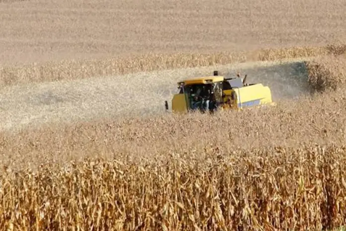 InovaçãoAgro 2026 traz palestras e simuladores de trator para Guarapuava