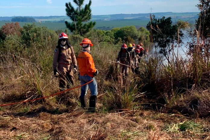 Defesa Civil do Paraná abre inscrições para curso de voluntários; saiba como participar