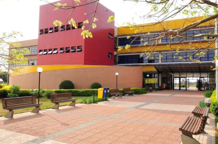 PUCPR oferece atendimento psicológico gratuito em Toledo para quem precisa
