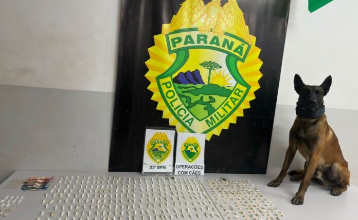 Cão farejador apreende 139 pedras de crack e 252 pinos de cocaína no Morro do Piolho