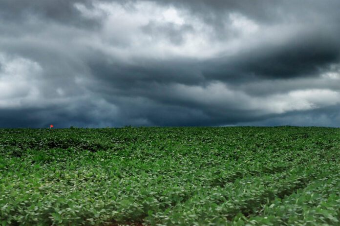 Defesa Civil alerta para tempestades em 178 cidades do Paraná
