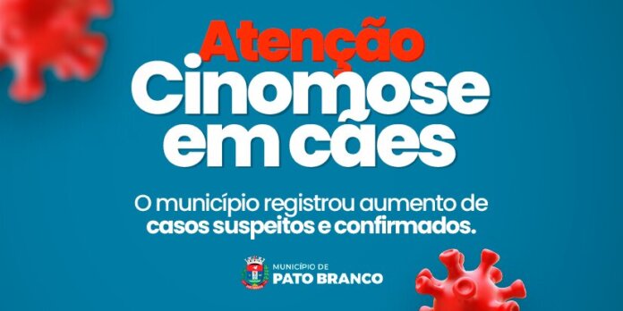 Cinomose em cães cresce em Pato Branco; vacinação é a defesa