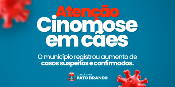 Cinomose em cães cresce em Pato Branco; vacinação é a defesa