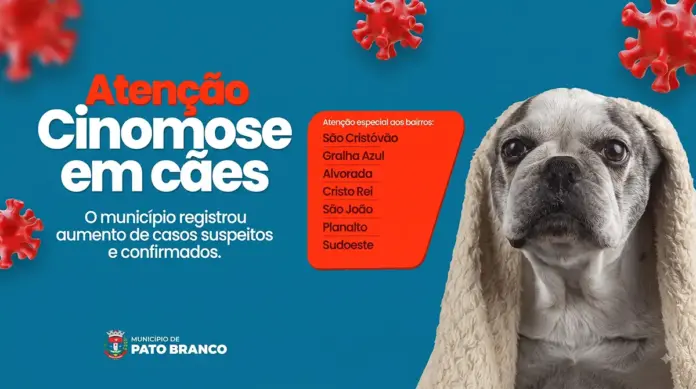 Cinomose avança em sete bairros de Pato Branco; vacinação é a defesa