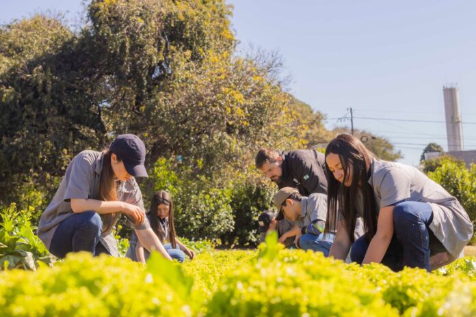 105 vagas em curso técnico de agropecuária em Ponta Grossa; inscrições até 28 de setembro