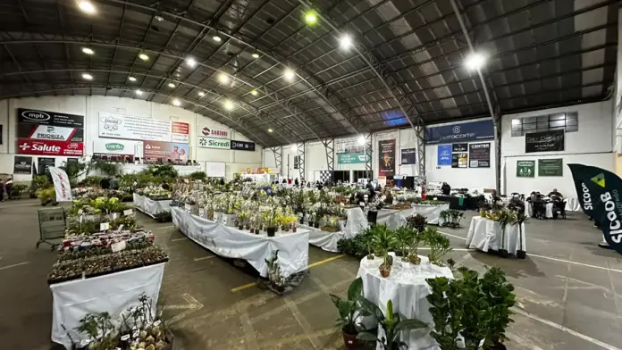 Expoflor chega à 15ª edição com flores, solidariedade e entrada gratuita