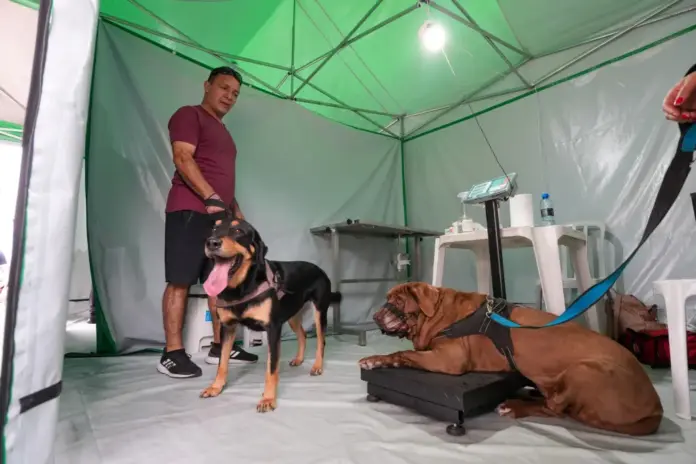 Vet-Móvel oferece 5,9 mil atendimentos gratuitos em Paranaguá até sábado