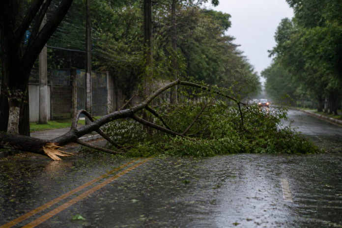 Tempestades deixam estragos em 10 cidades do Paraná; chuva avança para Campos Gerais