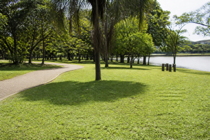 Yoga gratuito no Central Park de Guarapuava marca aniversário da Cidade dos Lagos