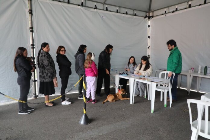 Pinhais abre inscrições para castração gratuita em outubro; confirme por mensagem