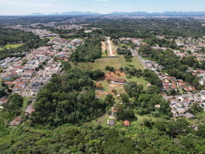 Curitiba planta centenas de mudas em floresta urbana nos Altos do Parque Barreirinha