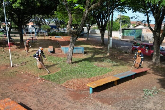 Conjunto das Flores tem dia de serviços municipais no sábado junto à Festa das Nações