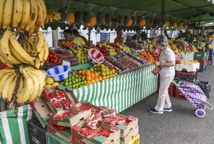 Curitiba inaugura Feira Livre Flamboyant na CIC com gastronomia e hortifrúti aos sábados