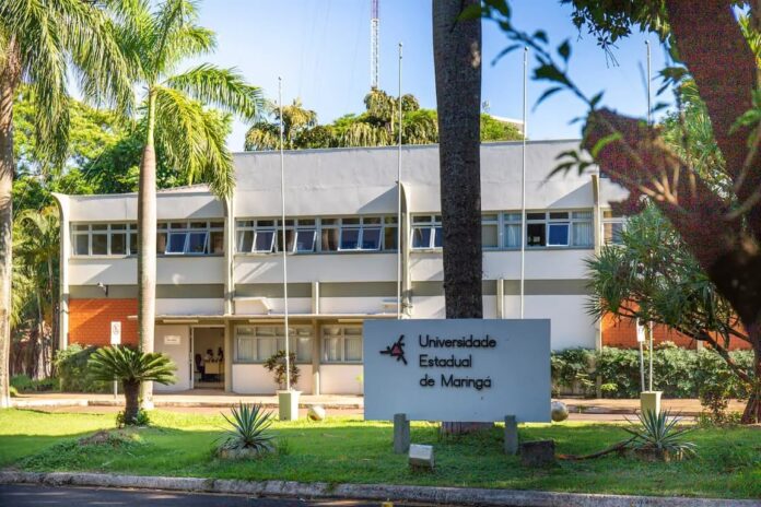 Universidade Estadual de Maringá abre inscrições para 68 vagas de professor colaborador