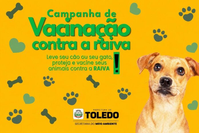 Campanha vacina cães e gatos contra raiva em Toledo neste sábado