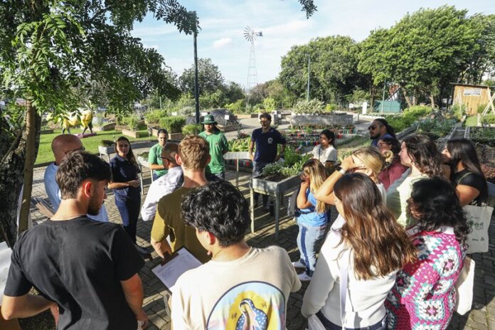 Curitiba oferece cursos grátis de horta e compostagem em setembro