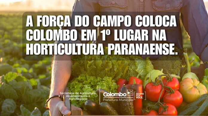 Colombo lidera produção de hortaliças do Paraná, setor movimenta R$ 1,2 bi