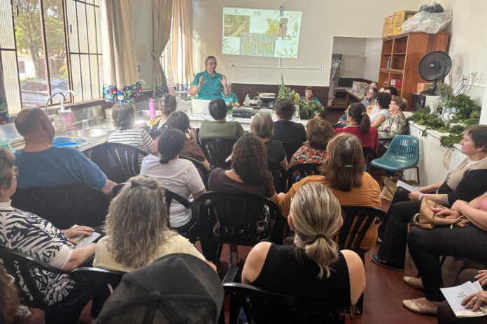Vila Nova aprende a usar plantas medicinais nos dias 16 e 17; veja como se inscrever