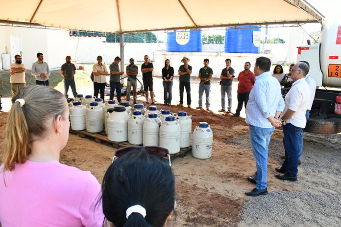 Umuarama distribui insumos para inseminação artificial em rebanhos leiteiros