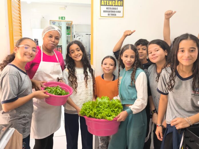 Escola de Umuarama cultiva horta com alunos em projeto de sustentabilidade