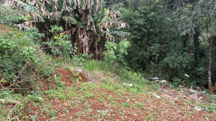 Francisco Beltrão interdita área de risco no Alto São Francisco com 46 famílias