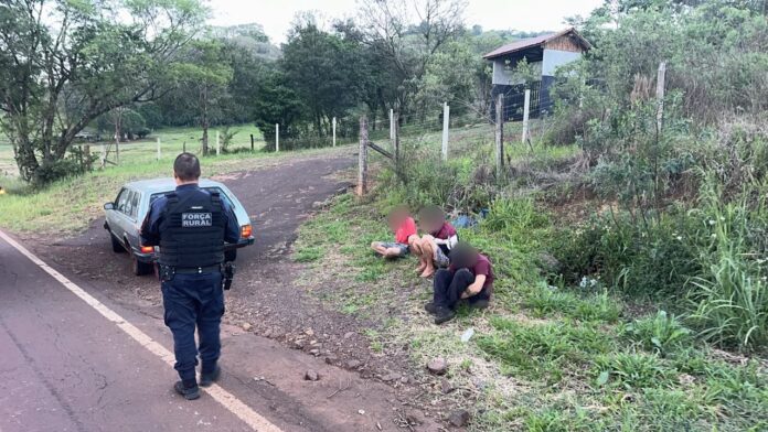 Cascavel prende três suspeitos em ação da Guarda Municipal na zona rural